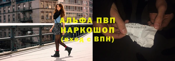 шишки Новозыбков