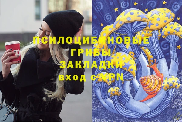 ПСИЛОЦИБИНОВЫЕ ГРИБЫ Нефтегорск