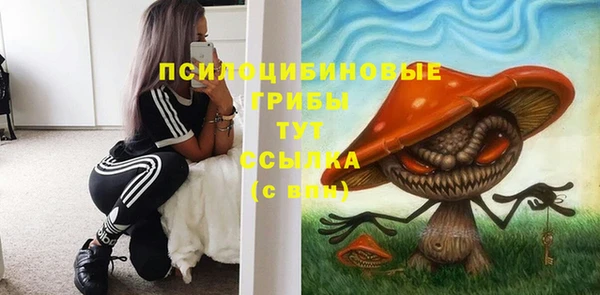 мяу мяу мука Бутурлиновка