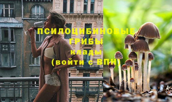 мдма Нефтекумск