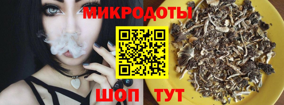 Псилоцибиновые грибы мицелий Тулун